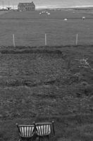 Cjp_2017-04-04_185112.jpg