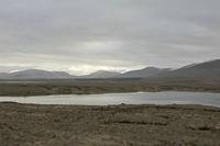 Cjp_2017-04-05_071326.jpg
