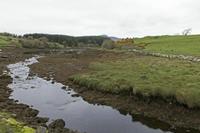 Cjp_2017-04-05_074622.jpg