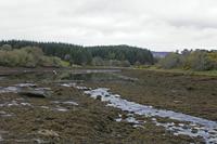 Cjp_2017-04-05_074916.jpg