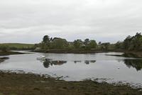 Cjp_2017-04-05_075226.jpg