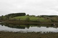 Cjp_2017-04-05_075236.jpg