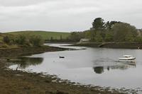 Cjp_2017-04-05_075318.jpg