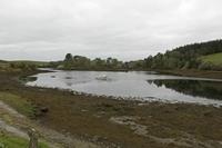 Cjp_2017-04-05_075412.jpg