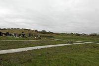 Cjp_2017-04-05_075508.jpg