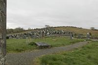 Cjp_2017-04-05_075622.jpg