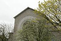 Cjp_2017-04-05_085920.jpg