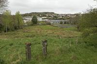 Cjp_2017-04-05_091646.jpg