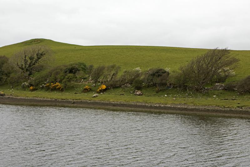 Cjp_2017-04-05_121634.jpg
