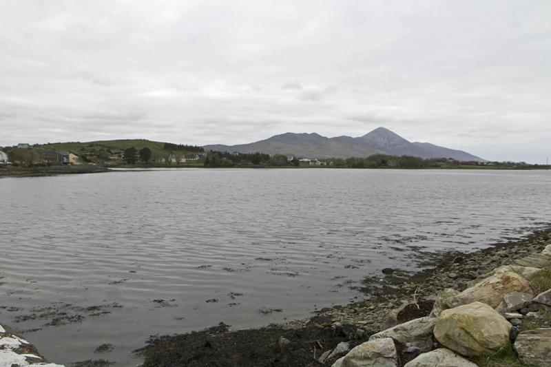 Cjp_2017-04-05_121946.jpg