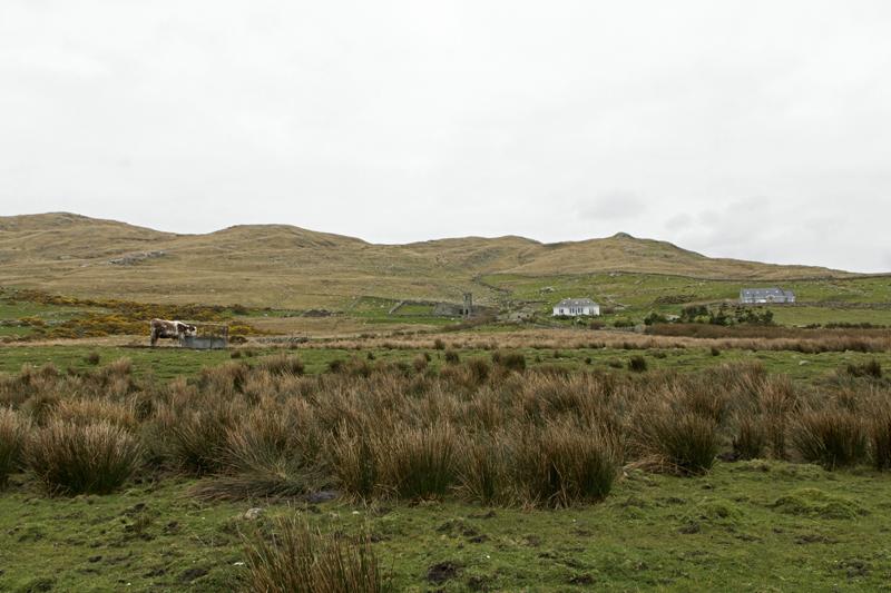 Cjp_2017-04-05_133638.jpg