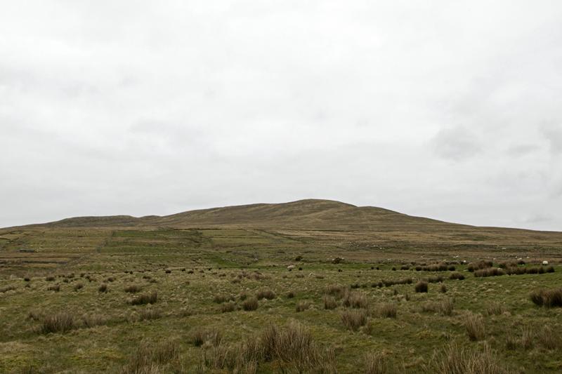 Cjp_2017-04-05_134044.jpg
