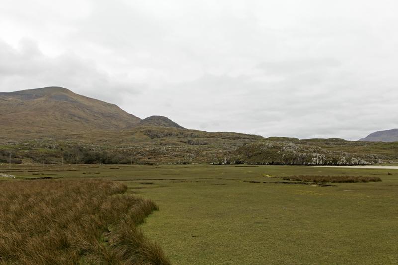 Cjp_2017-04-05_135212.jpg