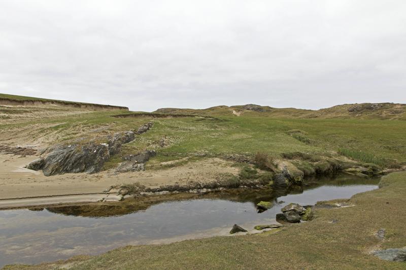 Cjp_2017-04-05_135328.jpg