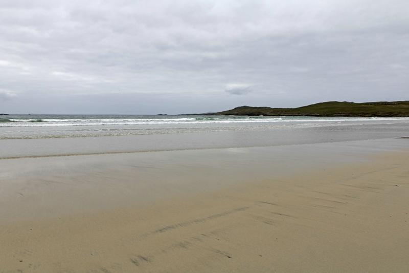 Cjp_2017-04-05_140110.jpg