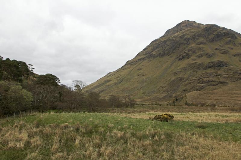 Cjp_2017-04-05_153518.jpg