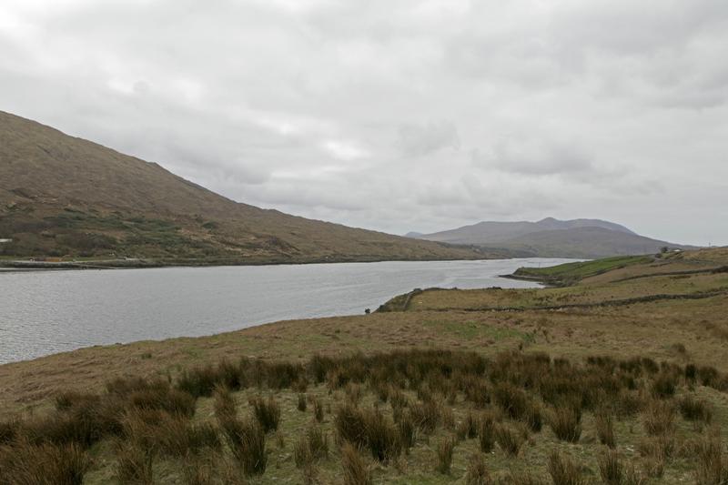 Cjp_2017-04-05_155106.jpg