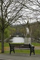 Cjp_2017-04-05_093002.jpg