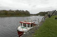 Cjp_2017-04-05_121622.jpg