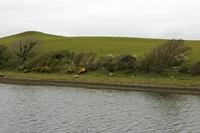 Cjp_2017-04-05_121634.jpg