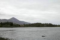 Cjp_2017-04-05_122308.jpg