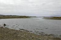 Cjp_2017-04-05_125636.jpg