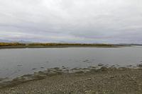 Cjp_2017-04-05_125642.jpg