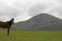 Cjp_2017-04-05_130420.jpg
