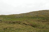 Cjp_2017-04-05_133354.jpg