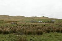 Cjp_2017-04-05_133638.jpg