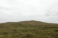 Cjp_2017-04-05_134044.jpg