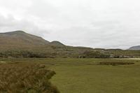 Cjp_2017-04-05_135212.jpg