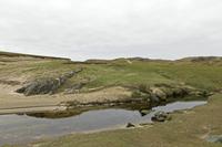 Cjp_2017-04-05_135328.jpg