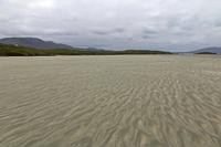 Cjp_2017-04-05_135520.jpg