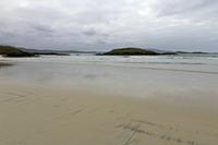 Cjp_2017-04-05_140106.jpg