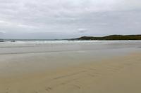 Cjp_2017-04-05_140110.jpg
