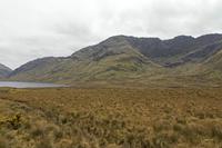 Cjp_2017-04-05_150510.jpg
