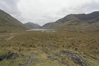 Cjp_2017-04-05_150804.jpg