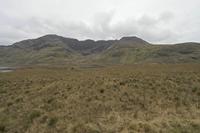 Cjp_2017-04-05_150820.jpg
