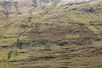 Cjp_2017-04-05_151834.jpg