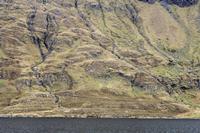 Cjp_2017-04-05_152044.jpg