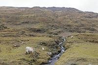 Cjp_2017-04-05_152250.jpg