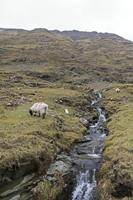 Cjp_2017-04-05_152320.jpg