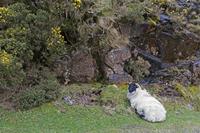 Cjp_2017-04-05_153022.jpg