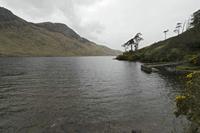 Cjp_2017-04-05_153124.jpg