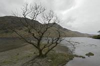 Cjp_2017-04-05_153242.jpg