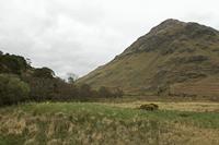 Cjp_2017-04-05_153518.jpg