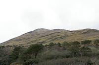 Cjp_2017-04-05_153530.jpg