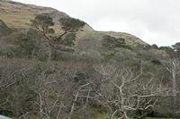 Cjp_2017-04-05_153620.jpg