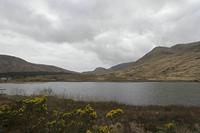 Cjp_2017-04-05_154228.jpg